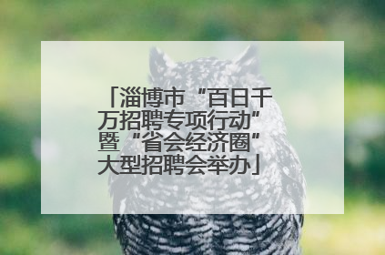 淄博市“百日千万招聘专项行动”暨“省会经济圈”大型招聘会举办