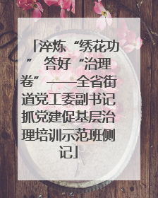 淬炼“绣花功” 答好“治理卷”——全省街道党工委副书记抓党建促基层治理培训示范班侧记