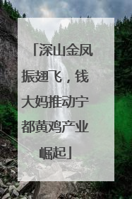 深山金凤振翅飞，钱大妈推动宁都黄鸡产业崛起
