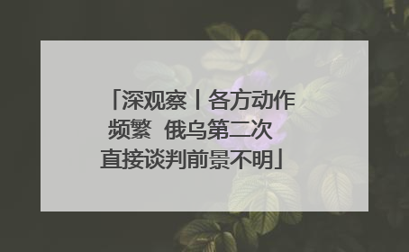 深观察丨各方动作频繁  俄乌第二次直接谈判前景不明