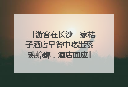 游客在长沙一家桔子酒店早餐中吃出蒸熟蟑螂，酒店回应