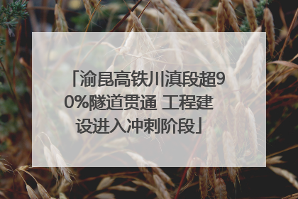 渝昆高铁川滇段超90%隧道贯通 工程建设进入冲刺阶段
