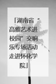 湖南省“高雅艺术进校园”交响乐专场活动走进怀化学院
