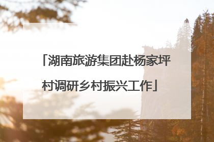 湖南旅游集团赴杨家坪村调研乡村振兴工作