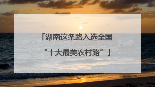 湖南这条路入选全国“十大最美农村路”