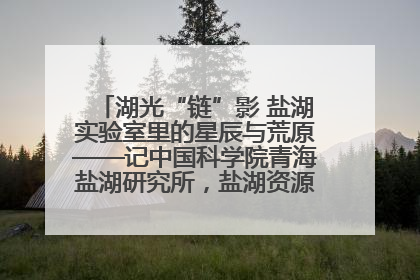 湖光“链”影 盐湖实验室里的星辰与荒原——记中国科学院青海盐湖研究所，盐湖资源化学实验室党总支书记、副主任刘忠