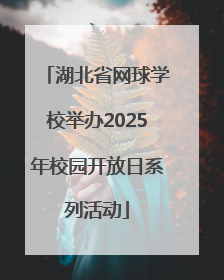 湖北省网球学校举办2025年校园开放日系列活动