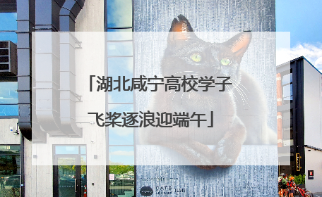 湖北咸宁高校学子飞桨逐浪迎端午