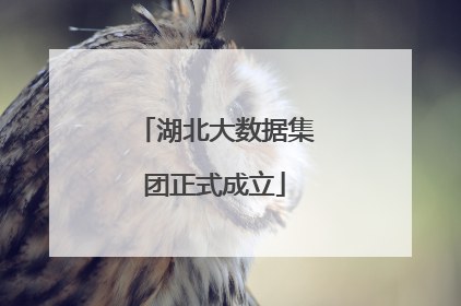 湖北大数据集团正式成立