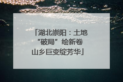 湖北崇阳：土地“破局”绘新卷 山乡巨变绽芳华