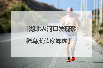 湖北老河口发现珍稀鸟类蓝喉蜂虎