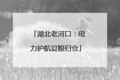 湖北老河口：电力护航夏粮归仓