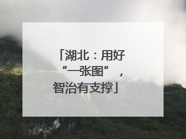 湖北：用好“一张图”，智治有支撑