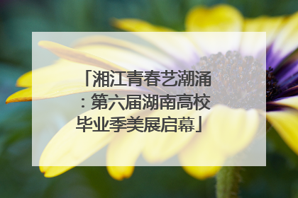 湘江青春艺潮涌：第六届湖南高校毕业季美展启幕