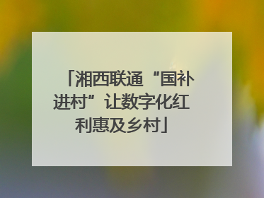 湘西联通“国补进村”让数字化红利惠及乡村