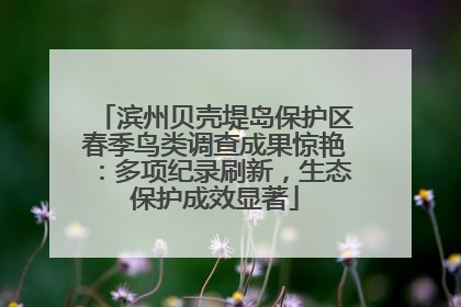 滨州贝壳堤岛保护区春季鸟类调查成果惊艳：多项纪录刷新，生态保护成效显著