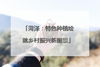 菏泽：特色种植绘就乡村振兴新图景