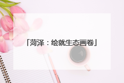 菏泽：绘就生态画卷