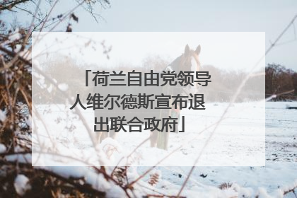 荷兰自由党领导人维尔德斯宣布退出联合政府