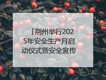 荆州举行2025年安全生产月启动仪式暨安全宣传咨询日活动