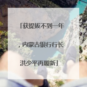 获提拔不到一年，内蒙古银行行长洪少平再履新