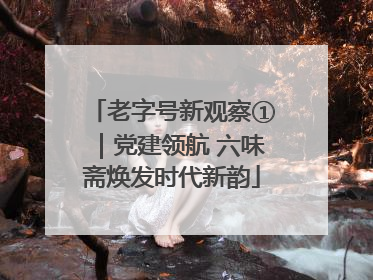 老字号新观察①｜党建领航 六味斋焕发时代新韵