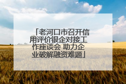 老河口市召开信用评价银企对接工作座谈会 助力企业破解融资难题