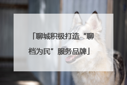 聊城积极打造“聊档为民”服务品牌