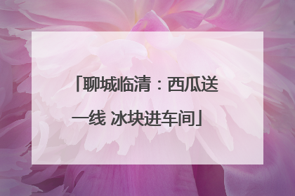 聊城临清：西瓜送一线 冰块进车间