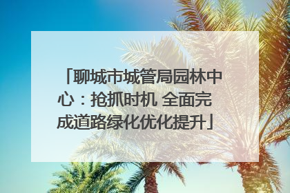 聊城市城管局园林中心：抢抓时机 全面完成道路绿化优化提升