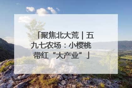 聚焦北大荒｜五九七农场：小樱桃带红“大产业”
