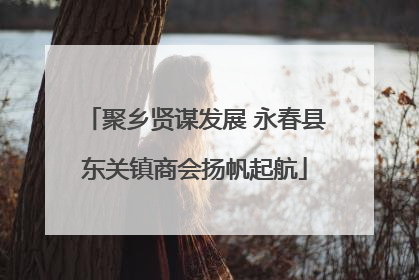 聚乡贤谋发展 永春县东关镇商会扬帆起航