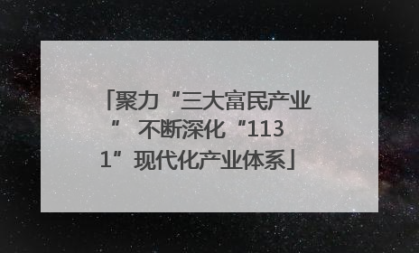 聚力“三大富民产业” 不断深化“1131”现代化产业体系