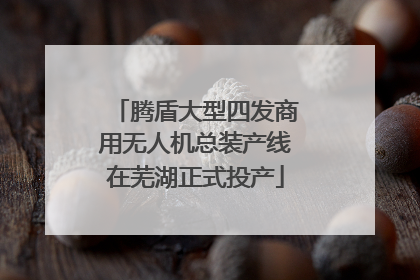 腾盾大型四发商用无人机总装产线在芜湖正式投产