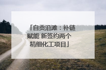 自贡沿滩：补链赋能 新签约两个精细化工项目