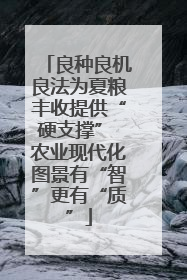 良种良机良法为夏粮丰收提供“硬支撑” 农业现代化图景有“智”更有“质”