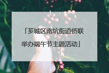 芗城区南坑街道侨联举办端午节主题活动