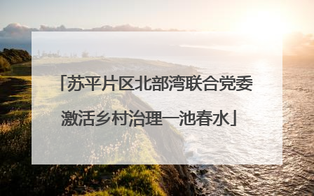 苏平片区北部湾联合党委 激活乡村治理一池春水