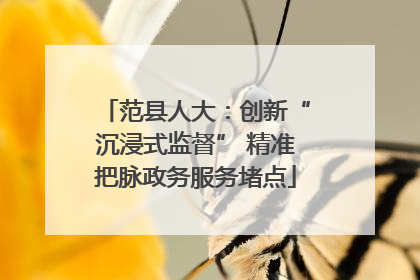 范县人大：创新“沉浸式监督” 精准把脉政务服务堵点