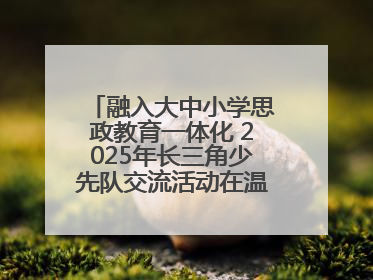 融入大中小学思政教育一体化 2025年长三角少先队交流活动在温岭举办