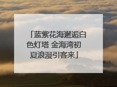 蓝紫花海邂逅白色灯塔 金海湾初夏浪漫引客来