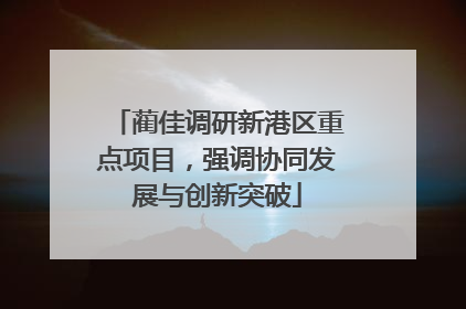 蔺佳调研新港区重点项目，强调协同发展与创新突破