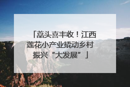 藠头喜丰收！江西莲花小产业撬动乡村振兴“大发展”