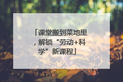 课堂搬到菜地里，解锁“劳动+科学”新课程