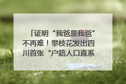 证明“我爸是我爸”不再难！攀枝花发出四川首张“户籍人口直系亲属关系谱”