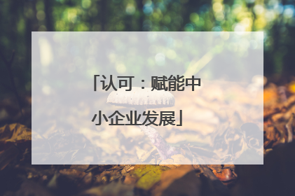 认可：赋能中小企业发展