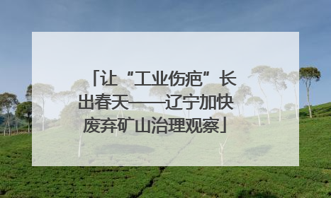 让“工业伤疤”长出春天——辽宁加快废弃矿山治理观察