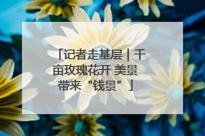 记者走基层｜千亩玫瑰花开 美景带来“钱景”