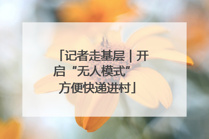 记者走基层｜开启“无人模式” 方便快递进村