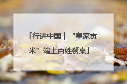 行进中国｜“皇家贡米”端上百姓餐桌